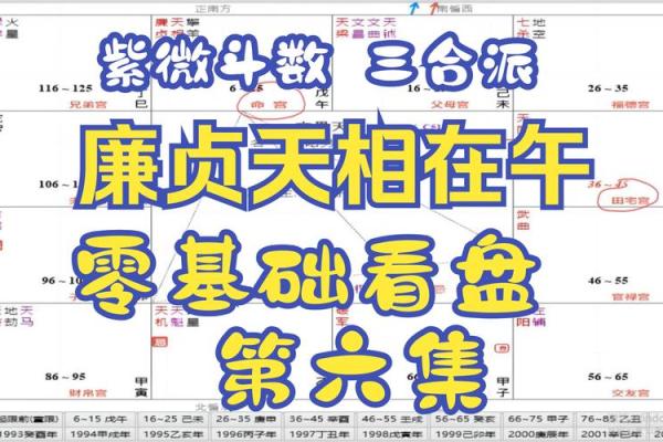 如何利用元亨利贞三式在线排盘精准预测未来运势