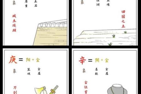 天干地支中的阴阳奥秘