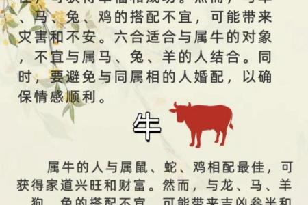 属牛男与属猪女：完美配对，揭秘相配之谜