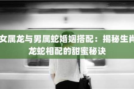 龙男兔女：揭秘爱情中的完美搭配