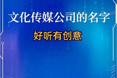 为信息化公司定制一个与众不同的名字