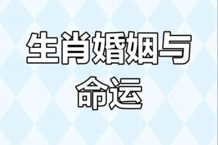 从八字配对看婚姻走向，命运能否如此预知？