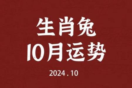 爱情秘籍：87兔男与92猴女完美匹配？