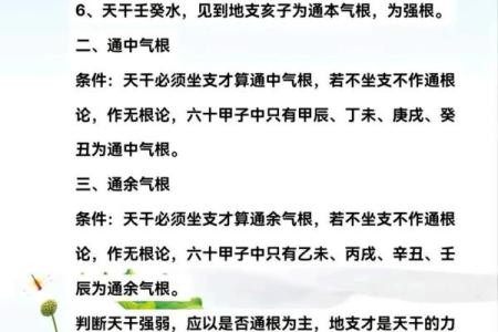 揭秘：本气透于天干的最佳天干