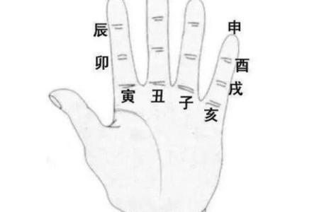 你知道天干地支在掌上如何展现吗
