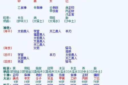 专家解读四柱八字排盘打分，助你轻松掌握命理精髓