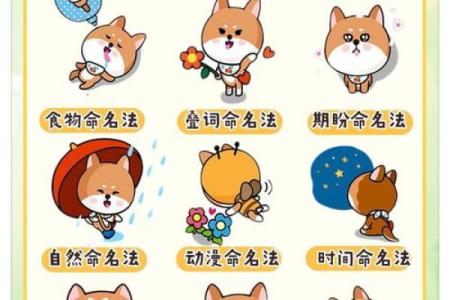 想不出宠物名字？试试这些动物命名法