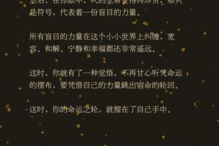 揭秘：命运之轮转动，你的元命究竟何在？