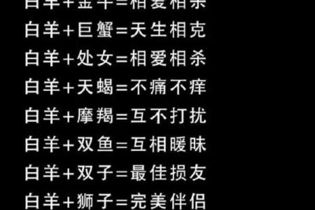 火花四溅揭秘射手和白羊的完美匹配