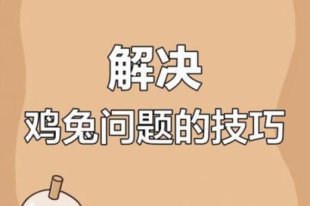 兔鸡相配，开店必看爆款秘籍