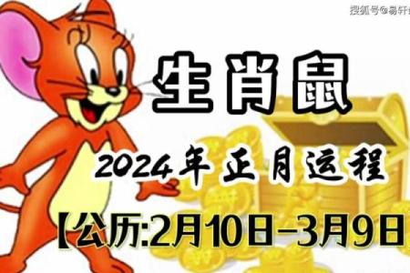 鼠年运势揭秘：你的命运藏在这12生肖的神奇密码