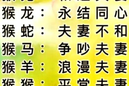 属猴男属狗女，缘分深浅大揭秘