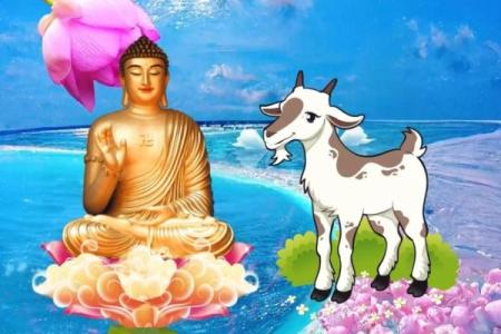 2003年生肖羊必看：健康指南，幸福生活指南针
