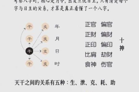天干十神完全指南：命理学必学的基础