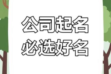 选个好名字，让公司一飞冲天