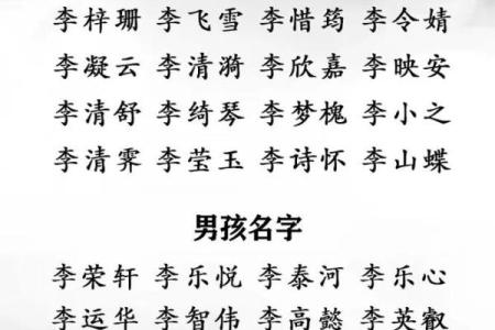 黎起名字的秘诀：让孩子与众不同的名字
