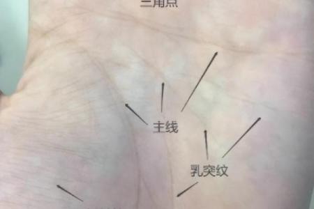 揭秘短命手相特征，让你一眼看穿命运之谜
