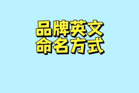 C公司起名秘籍，如何打造响亮品牌名