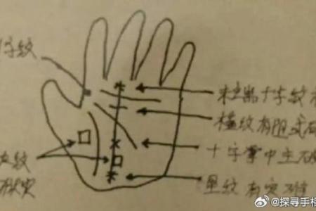 揭秘手相密码：指尖上的命运轨迹，你读懂了吗？