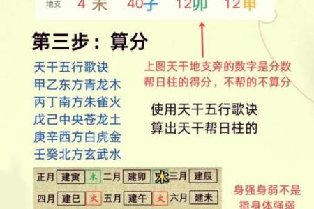 想了解自己未来的命运？新浪排盘为你精准预测