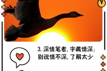 龙蛇情深：绝配佳缘揭秘