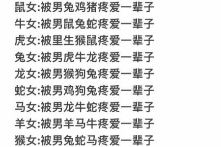 属相配对大揭秘：老鼠兔子到底合不合适？