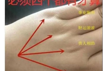 手握金元宝，财运亨通手相秘籍大公开
