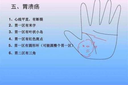 揭秘手相奥秘：原来心脏位置竟在这里
