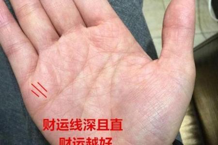 手相看财运：揭秘你的漏财点，掌握财富秘密