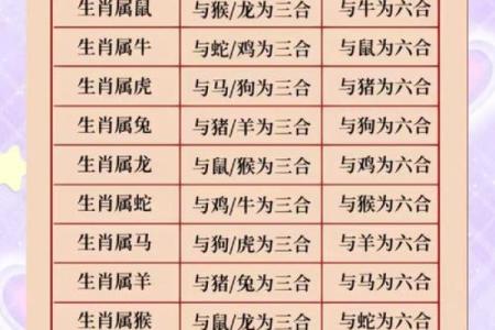 龙腾命起：揭秘属龙人的运势密码