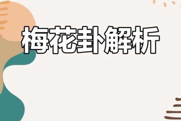 在线梅花排盘：破解命运的秘密，掌握人生方向