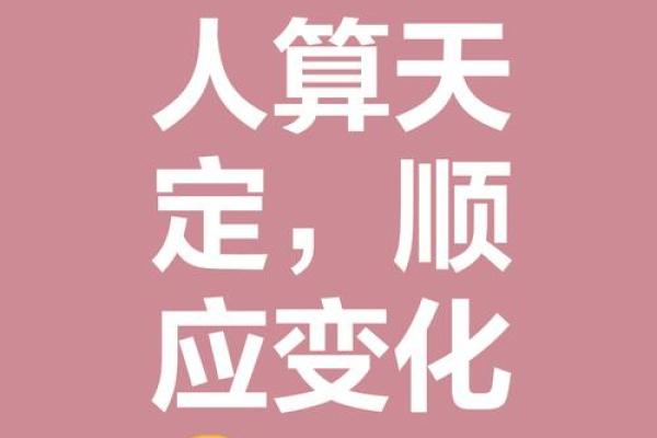通过八字天机，找到你未来的成功路径