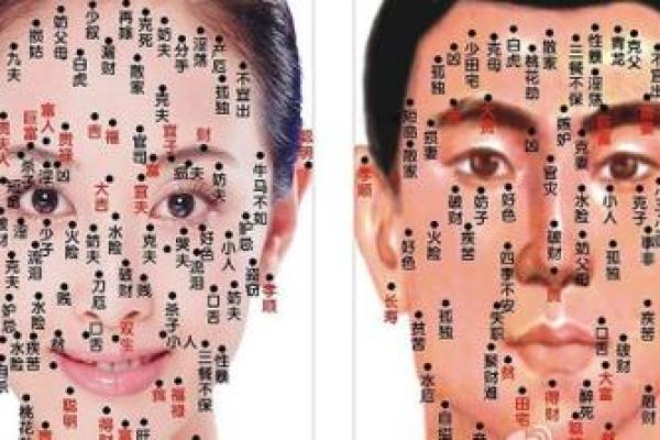 痣相运势宝典：女人面相痣相全解析