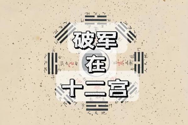 破军之选，绝配神装