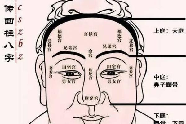 面相人中决定命运？专家带你揭秘其中的奥秘