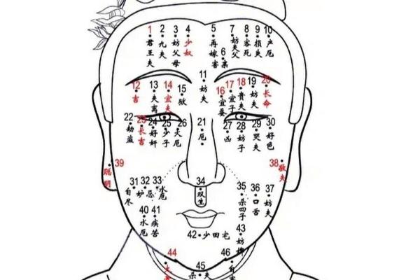 痣相大解密：看痣识人，掌握你的命运走向