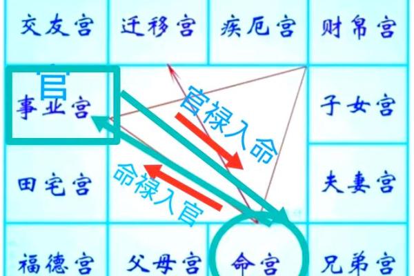 紫微斗数排盘全攻略：教你如何快速上手，解锁命运密码