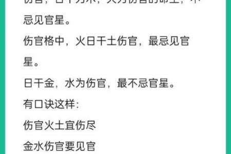 探寻天干主病的奥秘：你体内隐藏的疾病信号