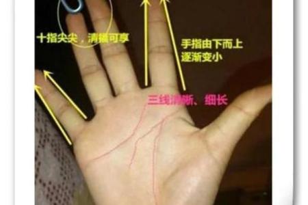 揭秘火手相：财富与激情的完美结合，你的命运如何？
