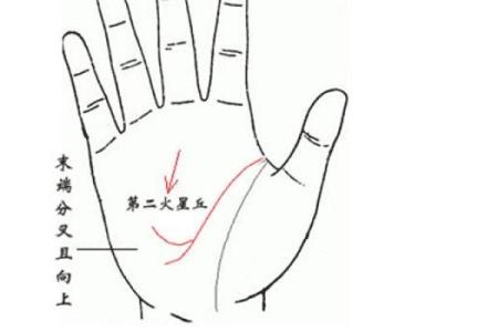 揭秘：手相火星纹究竟隐藏哪些惊人秘密？手相大师倾情分享