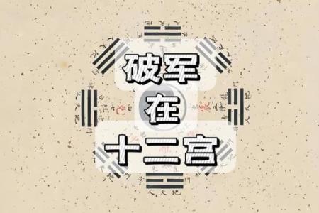 破军之选，绝配神装