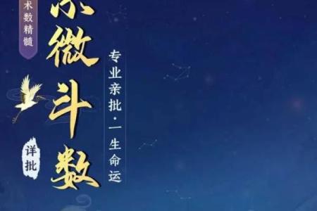 紫微斗数排盘全攻略：教你如何快速上手，解锁命运密码