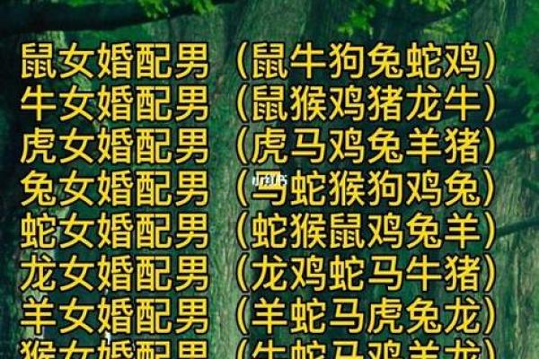 爱情解码：属牛女与属羊男，匹配指数大揭秘