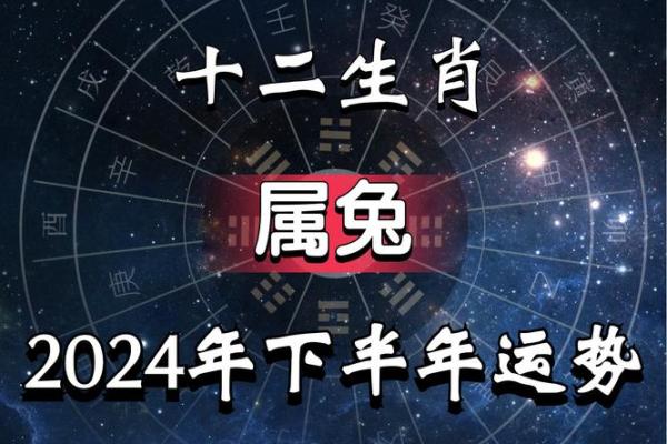 属兔几月五行命解密，揭秘你的命运密码