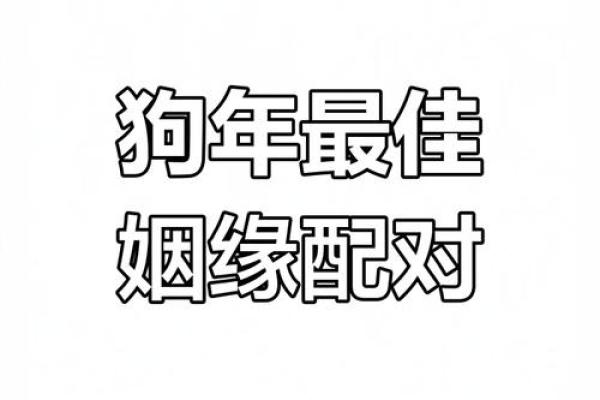狗狗专属：揭秘最适合你的属相配对秘籍