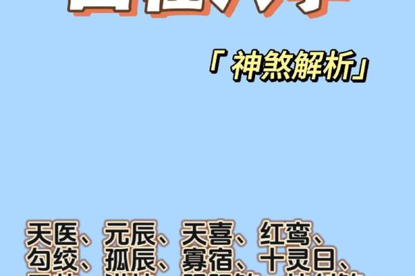 八字派别解析：深入探讨五大流派的独特魅力