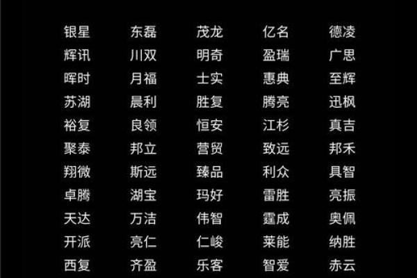 起个好名字，助力公司成为行业领导者