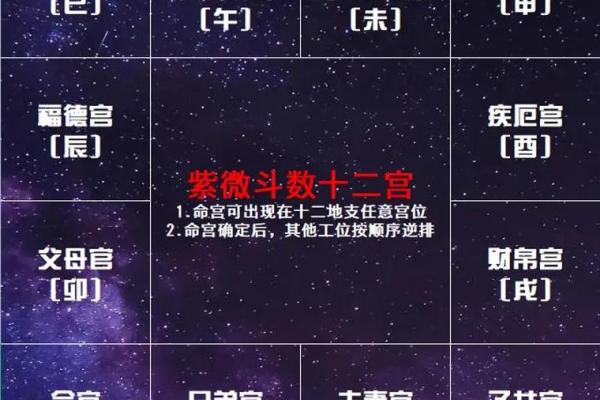 天干透比肩，命运走向的关键解读
