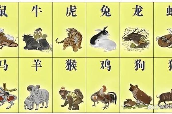猴女魅力无限，最佳配对揭秘