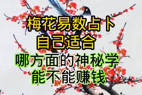 用梅花易数排盘工具解锁人生奥秘，掌握命运的钥匙